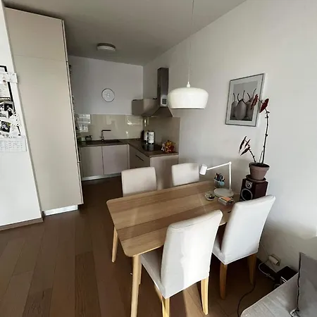 Sag Panorama Business 2 Free Parking * 布拉迪斯拉发