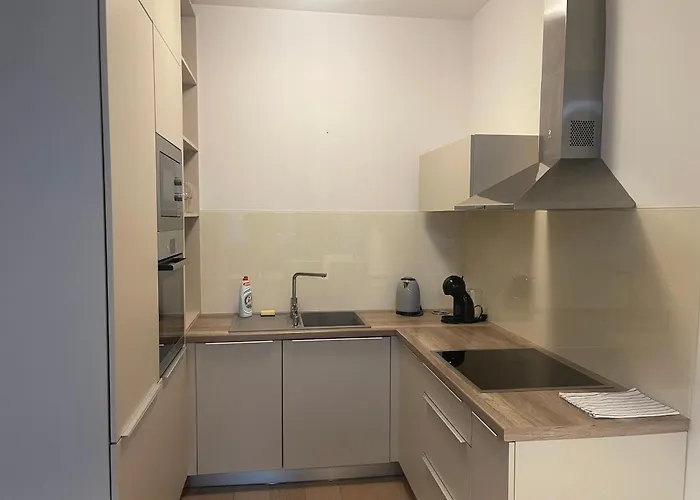 Apartmán Sag Panorama Business 2 Free Parking *